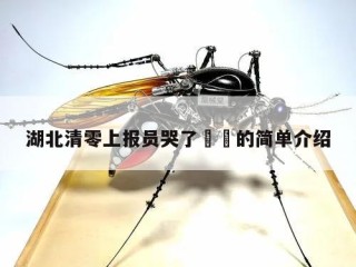 湖北清零上报员哭了㊙️的简单介绍