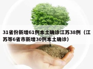 31省份新增61例本土确诊江苏38例（江苏等6省市新增30例本土确诊）
