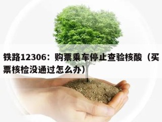 铁路12306：购票乘车停止查验核酸（买票核检没通过怎么办）