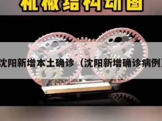 沈阳新增本土确诊（沈阳新增确诊病例）