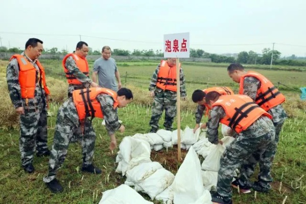 共筑安全防线,共度平安之夏,全面应对汛期挑战 共筑安全防线,共度平安之夏,全面应对汛期挑战